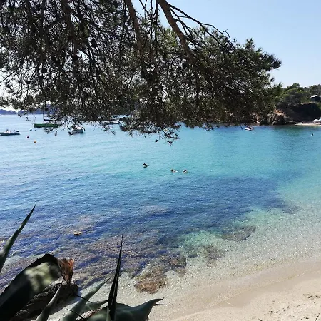 Les Terrasses De Giens *